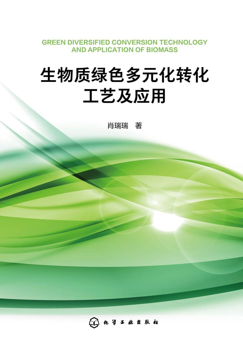 生物质绿色多元化转化工艺及应用