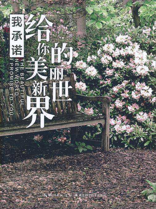 我承诺给你的美丽新世界