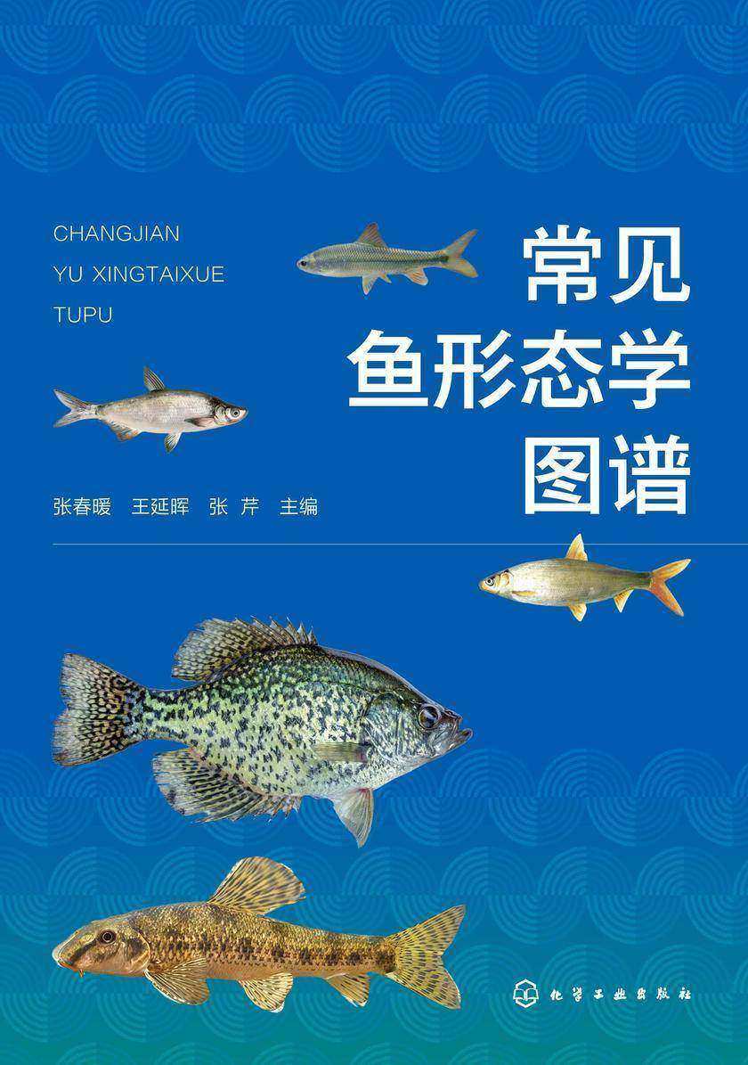 常见鱼形态学图谱