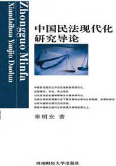 中国民法现代化研究导论