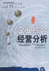 企业综合经营分析