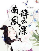 南风辞云深
