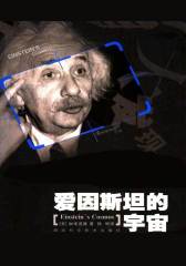 爱因斯坦的宇宙(超弦理论创始人之一加来道雄最经典的作品，关于爱因斯坦和相对论最通俗的读物)
