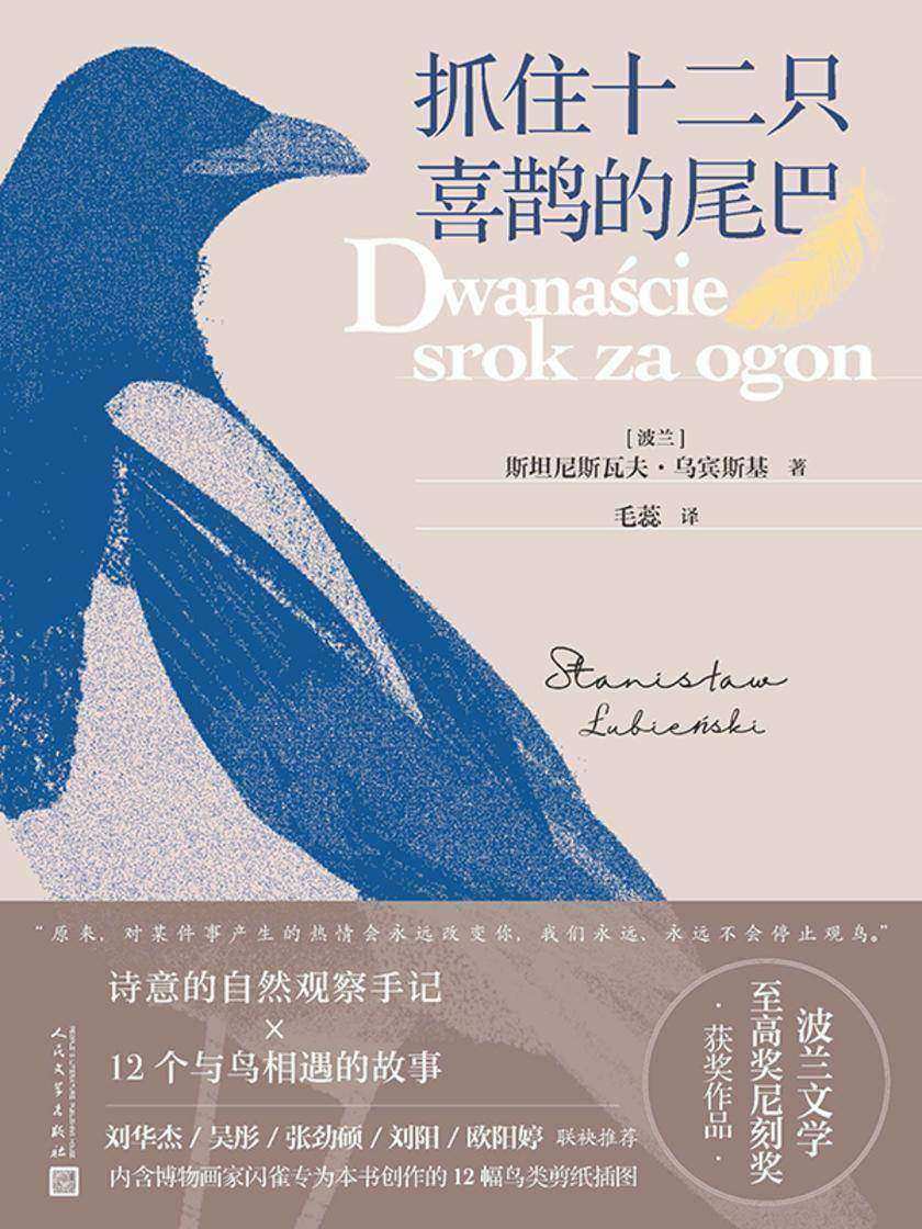 抓住十二只喜鹊的尾巴