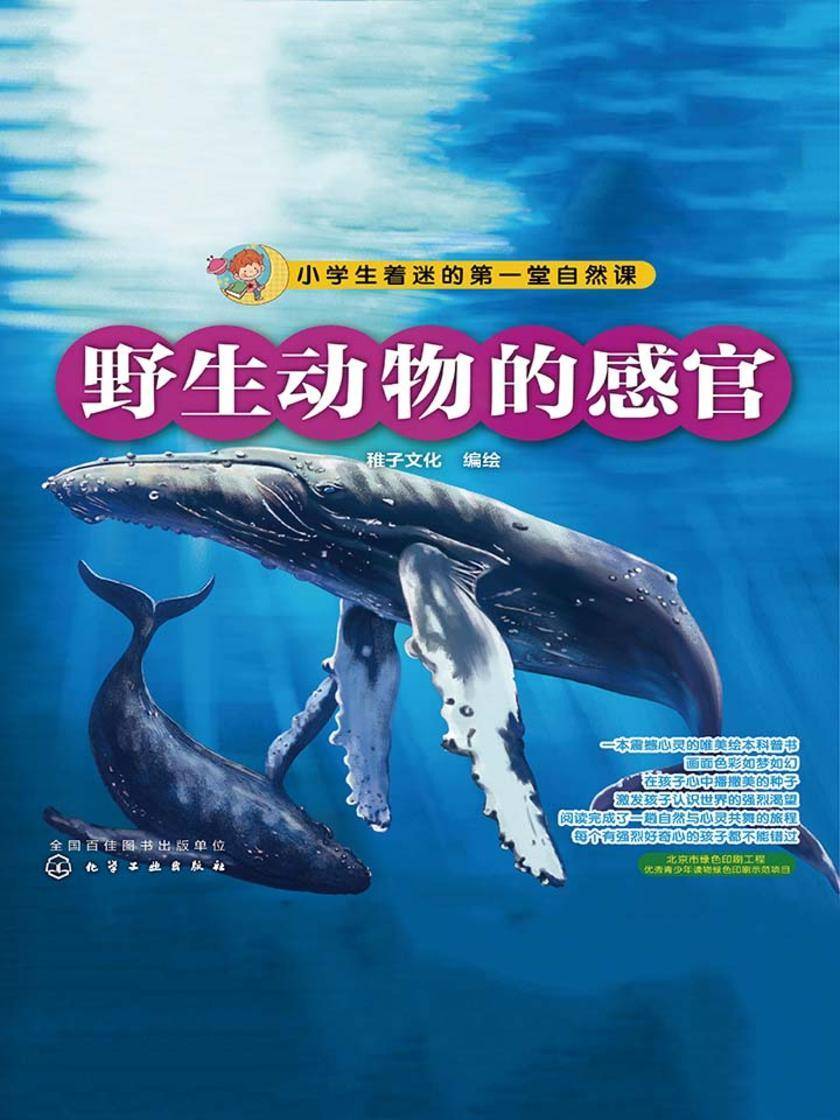 野生动物的感官