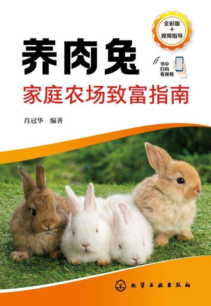 养肉兔家庭农场致富指南