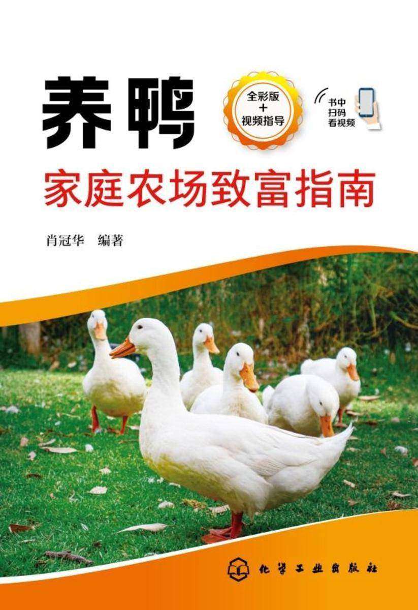 养鸭家庭农场致富指南