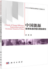 中国能源效率改进的增长绩效研究(试读本)