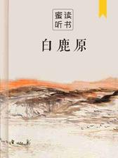 白鹿原（解读版）