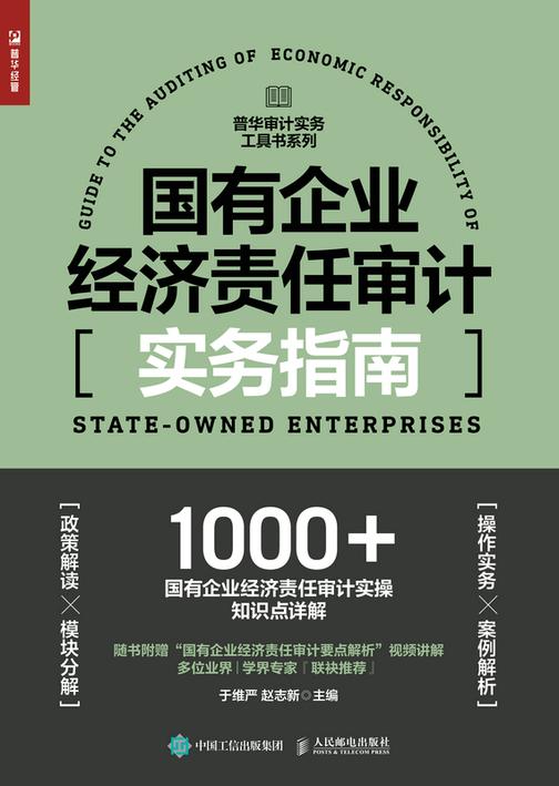 国有企业经济责任审计实务指南