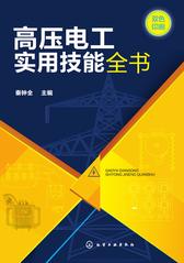 高压电工实用技能全书