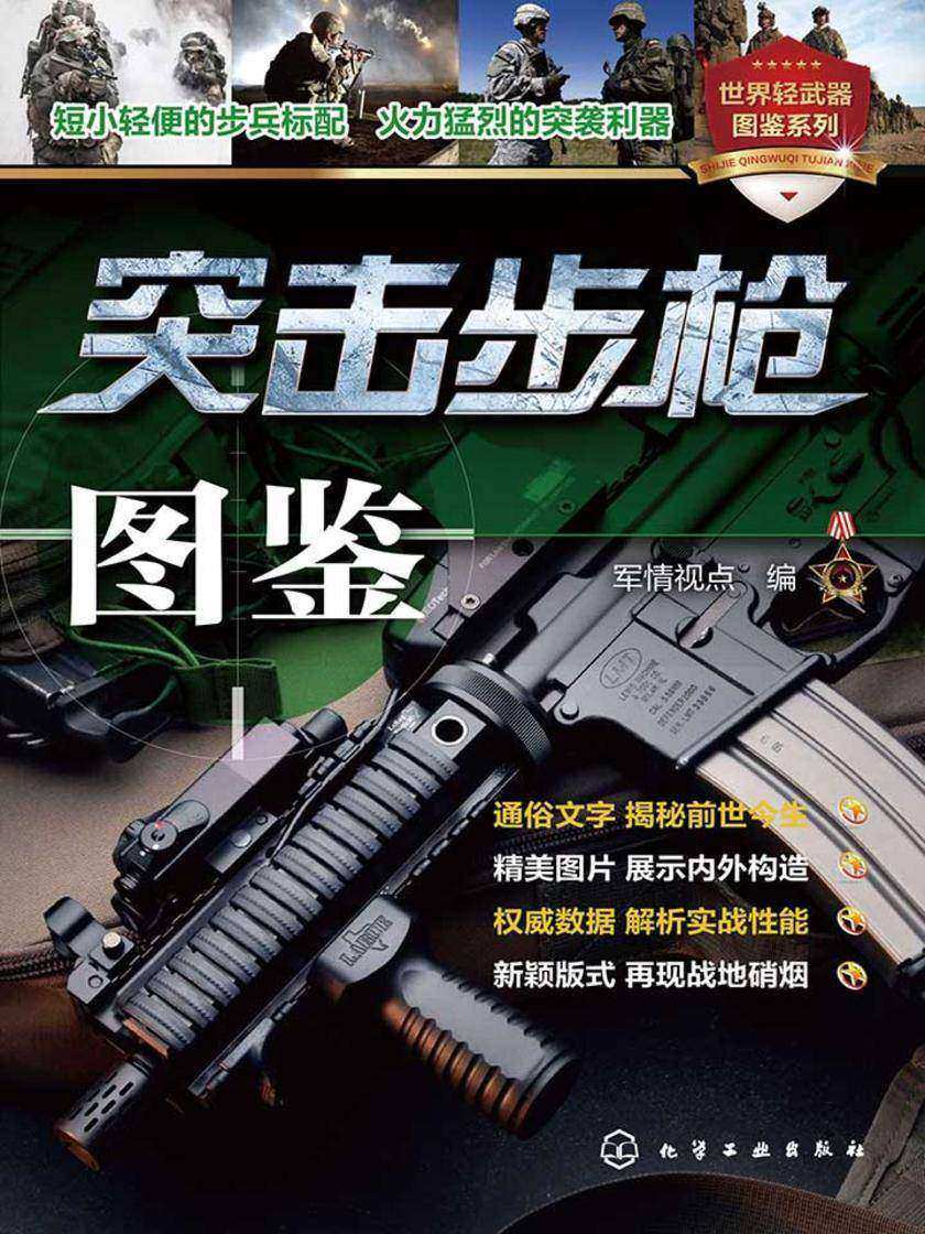 突击步枪图鉴