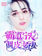 霸道宁总，调皮娇妻