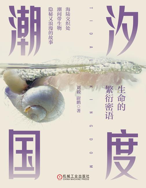 潮汐国度:生命的繁衍密语