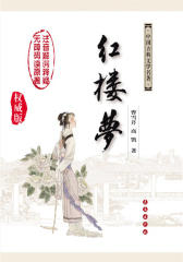 红楼梦