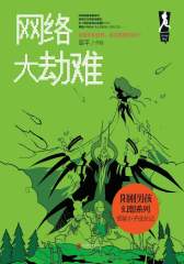 网络大劫难