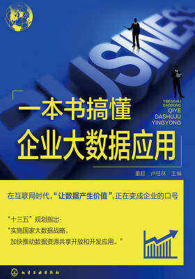 一本书搞懂企业大数据应用