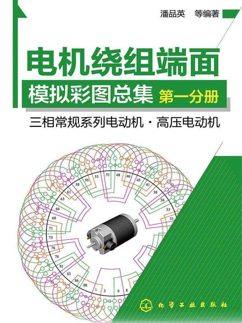 电机绕组端面模拟彩图总集.第一分册