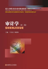 成人(网络)教育系列规划教材：审计学(第二版)(仅适用PC阅读)