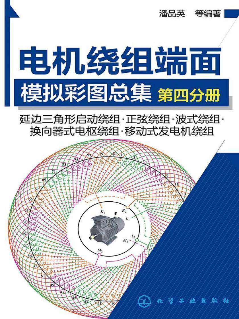 电机绕组端面模拟彩图总集.第四分册