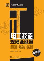 电工技能现场全能通(提高篇)