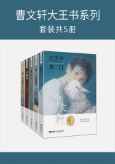 曹文轩大王书系列(套装共5册)