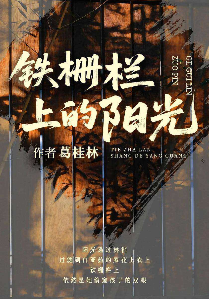 铁栅栏上的阳光