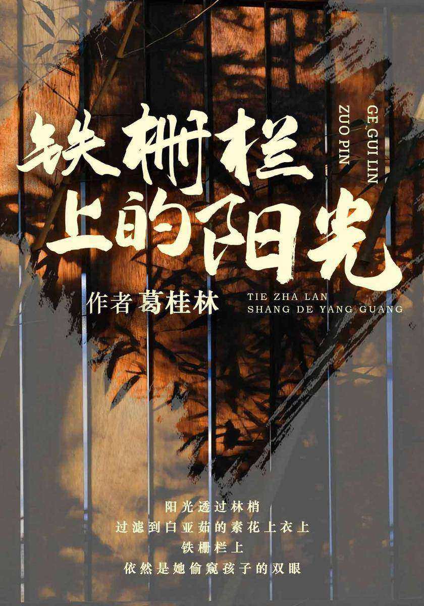 铁栅栏上的阳光
