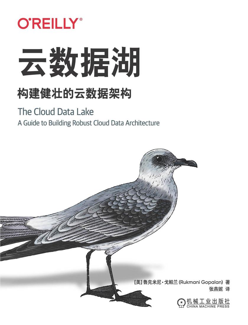 云数据湖:构建健壮的云数据架构