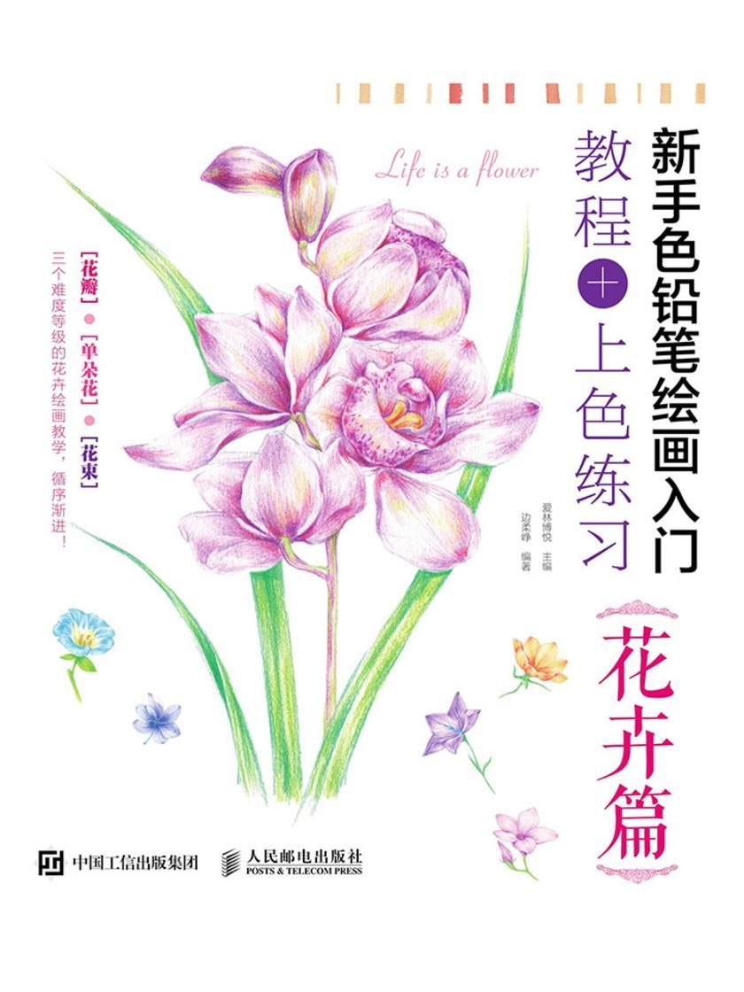 新手色铅笔绘画入门 教程+上色练习 花卉篇