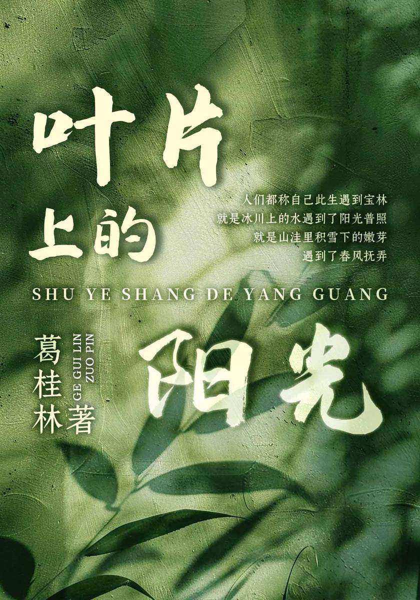 叶片上的阳光