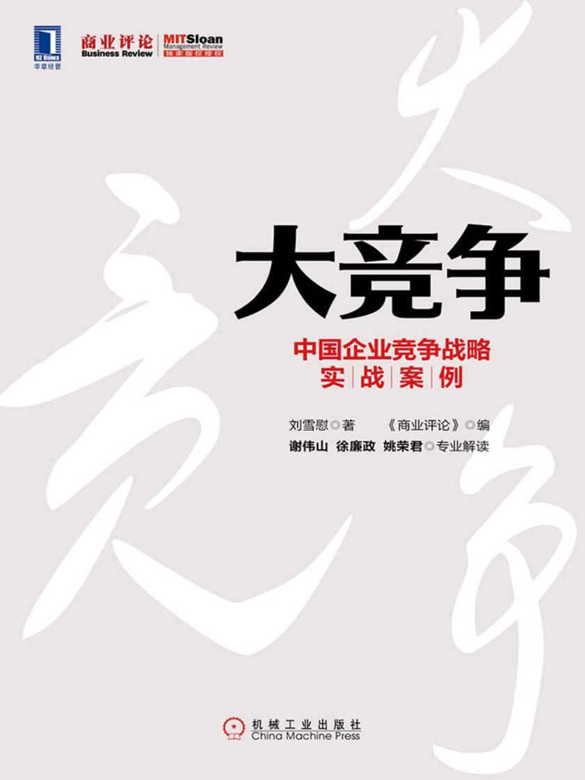 大竞争:中国企业竞争战略实战案例