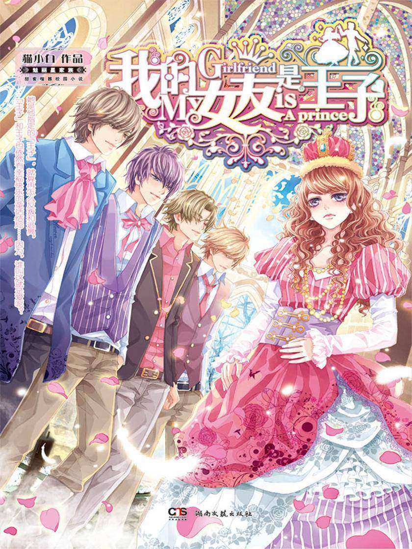我的女友是王子