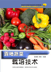 露地蔬菜栽培技术