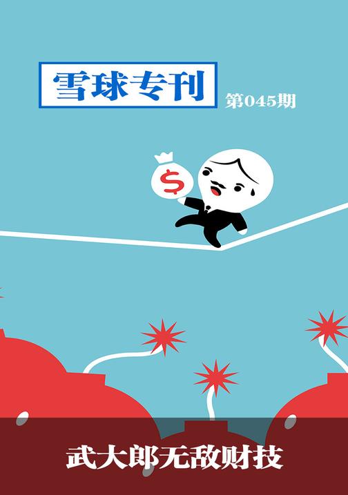 雪球专刊045——武大郎无敌财技(电子杂志)