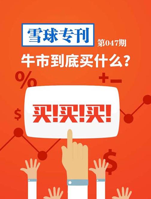 雪球专刊047——牛市到底买什么？(电子杂志)