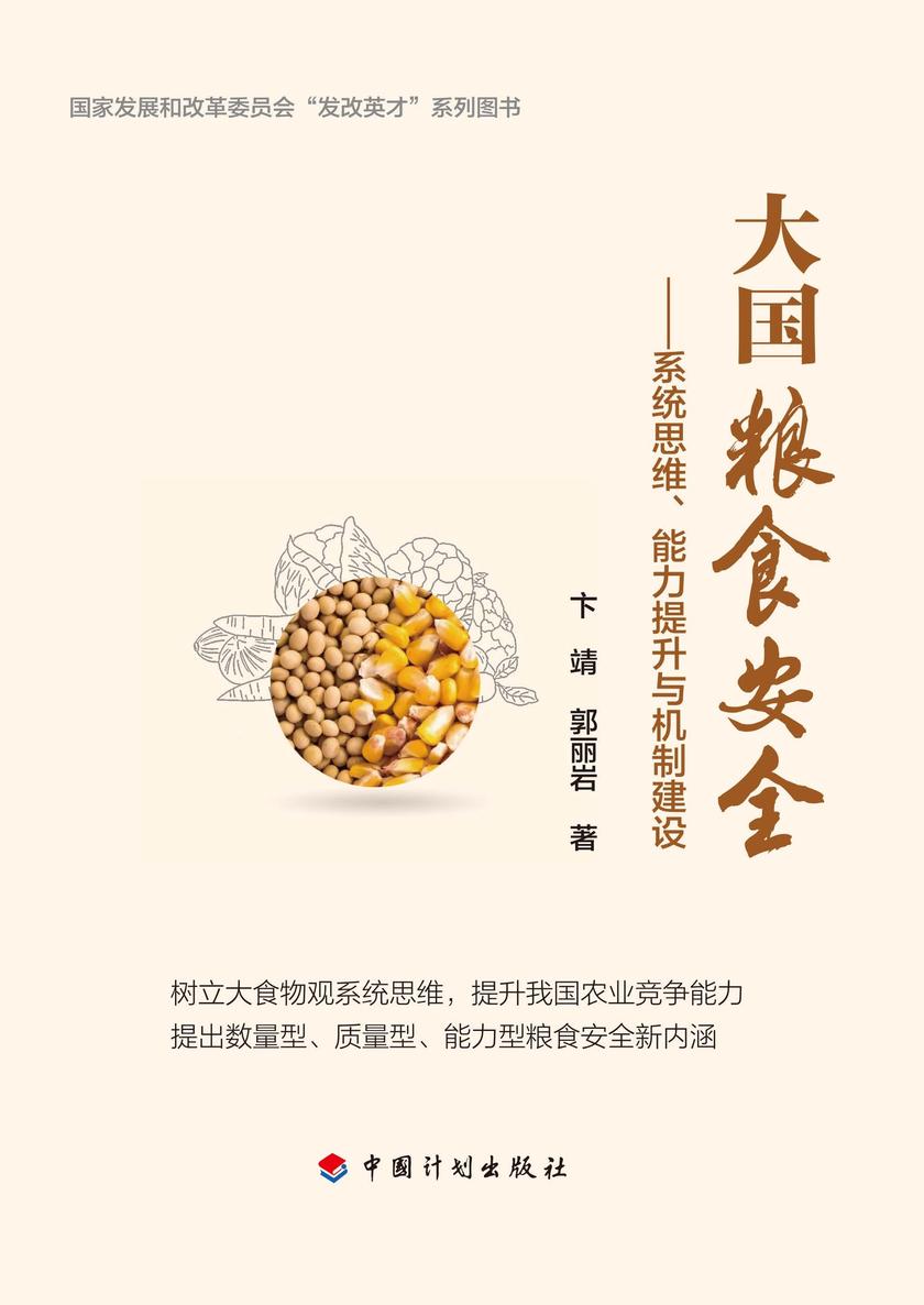 大国粮食安全——系统思维、能力提升与机制建设