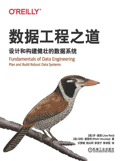 数据工程之道:设计和构建健壮的数据系统