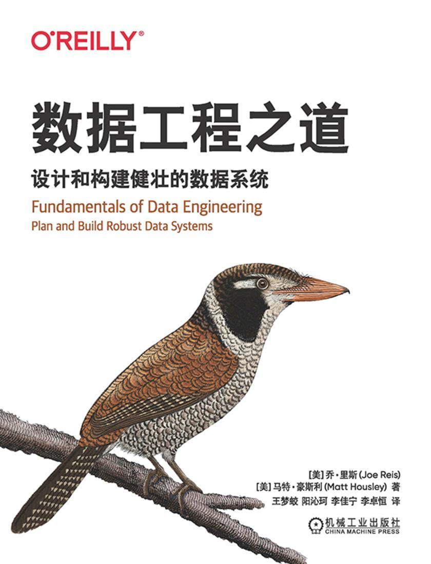 数据工程之道:设计和构建健壮的数据系统