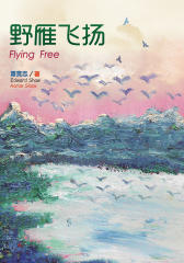 野雁飞扬