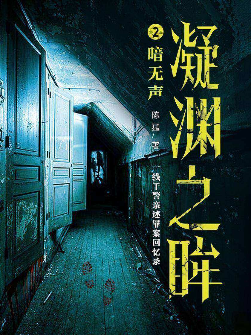 凝渊之眸2:暗无声