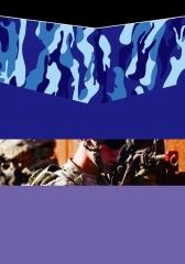 兵之王者系列——精锐战队：全球特种部队纵览(试读本)(仅适用PC阅读)