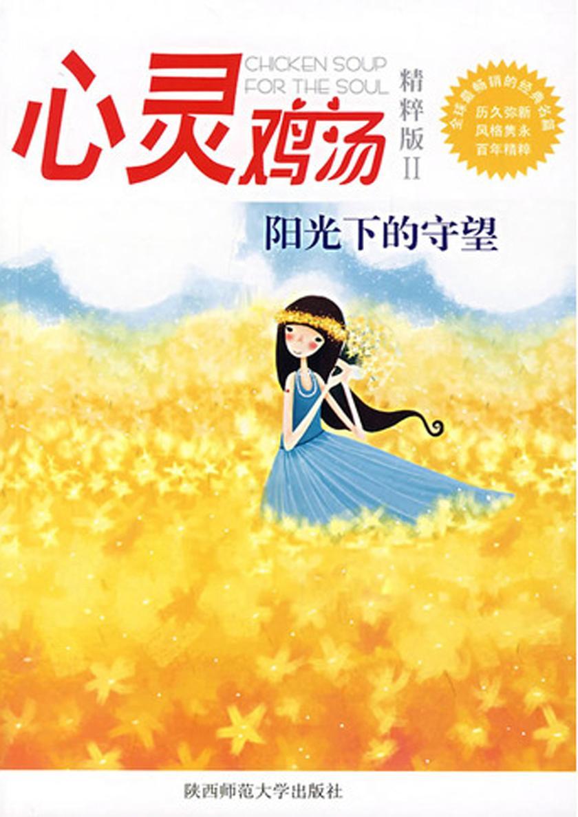 心灵鸡汤精粹版Ⅱ:阳光下的守望