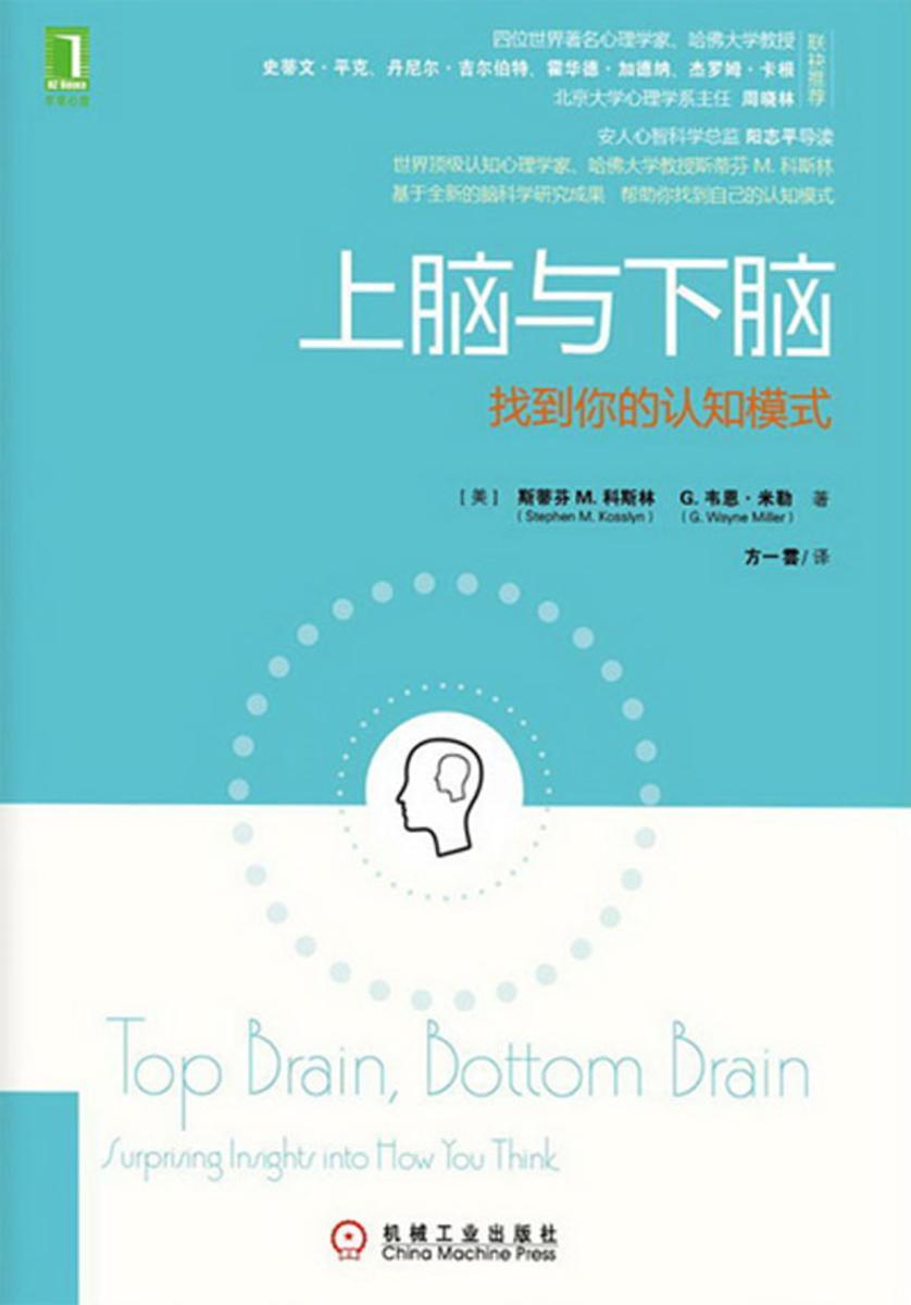上脑与下脑:找到你的认知模式