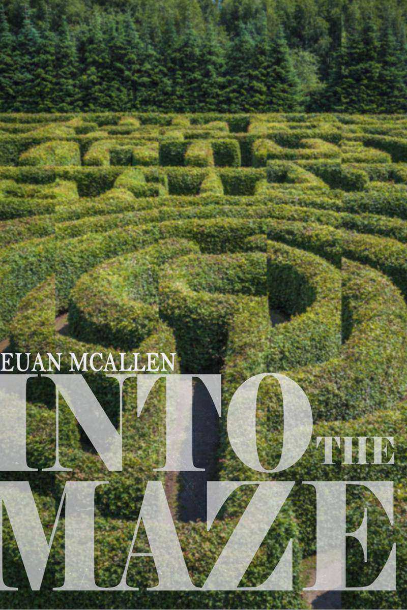 Into The Maze