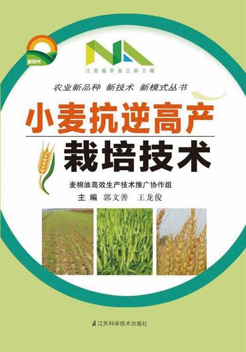 小麦抗逆高产栽培技术