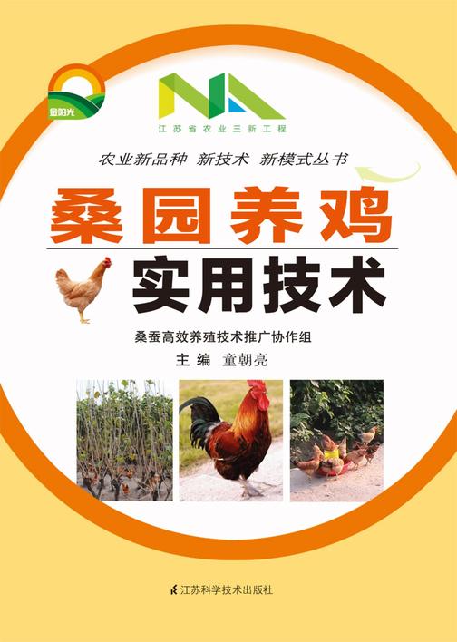 桑园养鸡培训实用技术