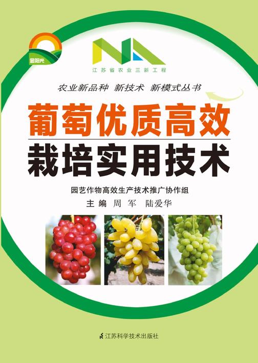 葡萄优质高效栽培实用技术