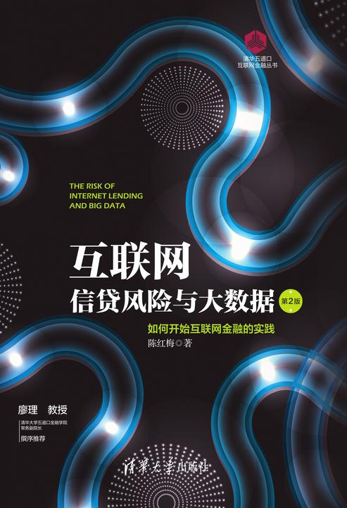 互联网信贷风险与大数据:如何开始互联网金融的实践(第2版)