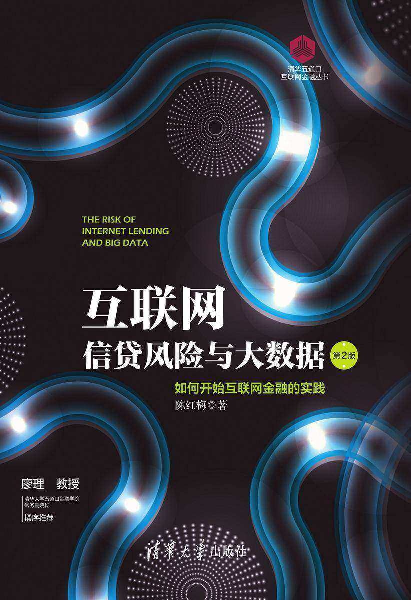 互联网信贷风险与大数据:如何开始互联网金融的实践(第2版)